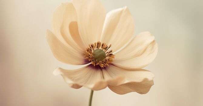 How Long Does Brazilian Laser Hair Removal Last? image