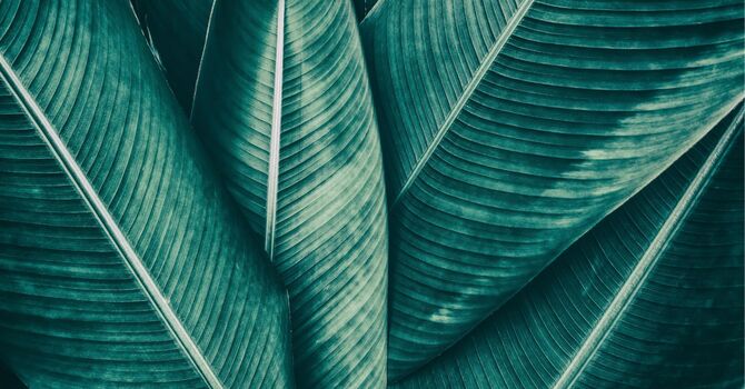 How Long Does Brazilian Laser Hair Removal Last?