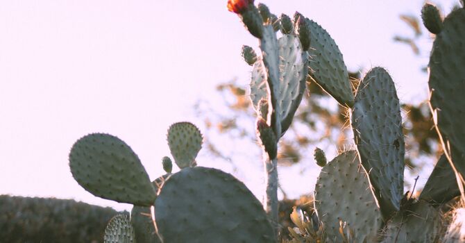 How to Prevent Forehead Wrinkles: Las Vegas’s Guide to Smooth, Youthful Skin