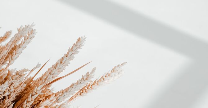 How Long Does Brazilian Laser Hair Removal Last?