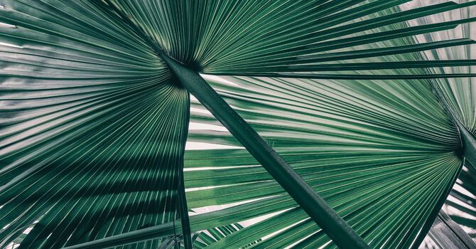 Hormone Replacement Therapy (HRT)